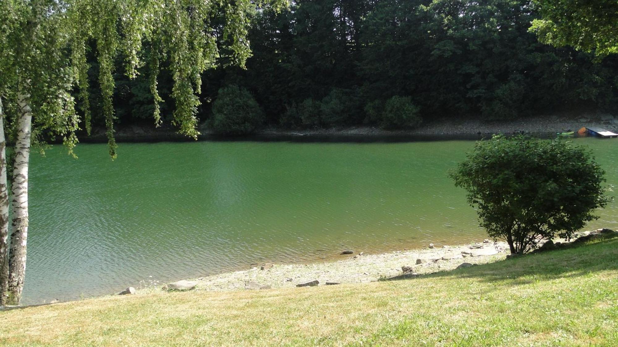 Maison Lac De Pareloup -Les Pieds Dans L'Eau- Arvieu Dış mekan fotoğraf